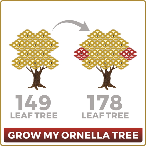 Grow Your Ornella 149 Leaf Tree to 178 Leaves