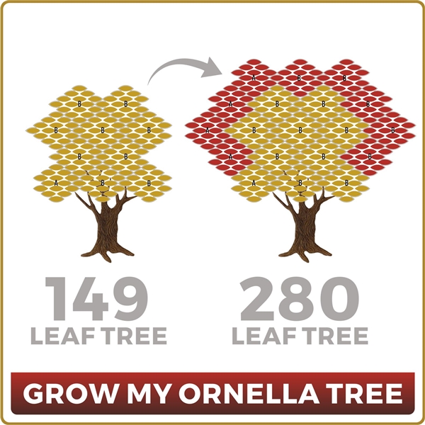 Grow Your Ornella 149 Leaf Tree to 280 Leaves