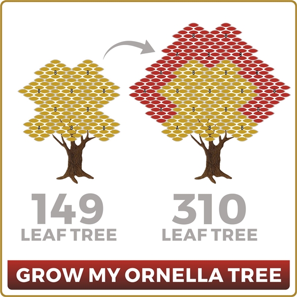 Grow Your Ornella 149 Leaf Tree to 310 Leaves
