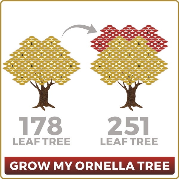 Grow Your Ornella 178 Leaf Tree to 251 Leaves