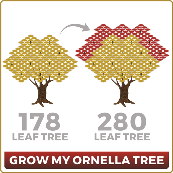 Grow Your Ornella 178 Leaf Tree to 280 Leaves