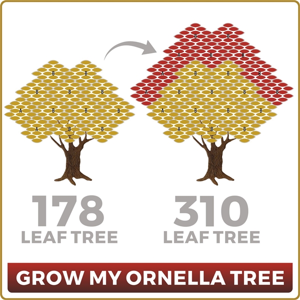 Grow Your Ornella 178 Leaf Tree to 310 Leaves