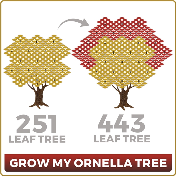 Grow Your Ornella 251 Leaf Tree to 443 Leaves