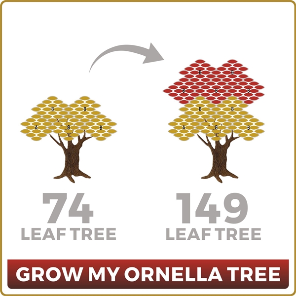 Grow Your Ornella 74 Leaf Tree to 149 Leaves
