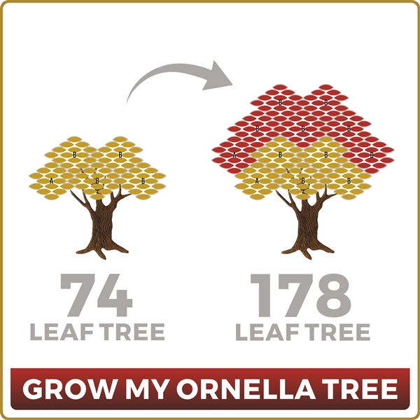 Grow Your Ornella 74 Leaf Tree to 178 Leaves