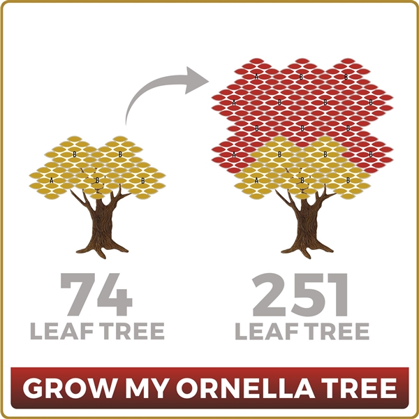 Grow Your Ornella 74 Leaf Tree to 251 Leaves