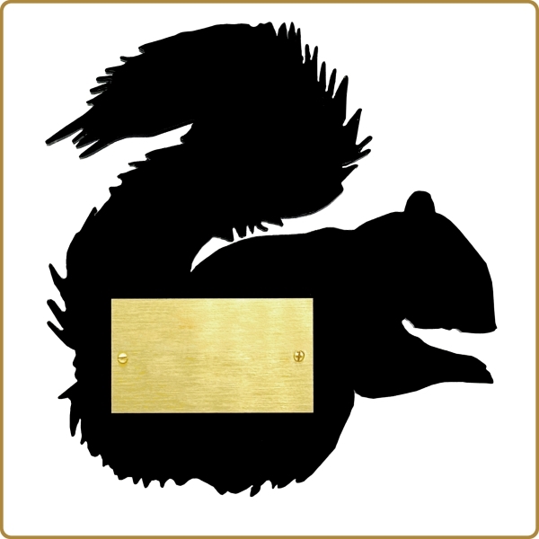 Squirrel Recognition Plaque Accessory